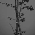 191120_Kopiszka_0