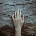 61196_3132960304