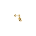 rosette gold glossy 1