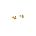 rosette gold glossy 2