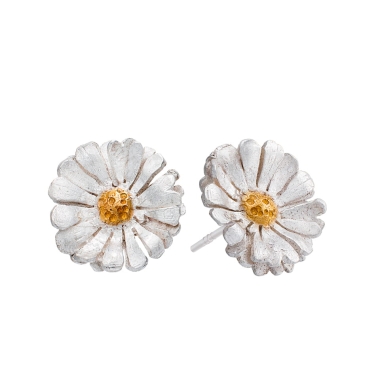 Stokrotki srebrne - EDYTA BYRSKA