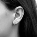 DSC_3833-scaled.jpg