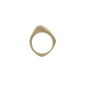 BLADE-brass-ring_%5B2085%5D_780.jpg