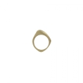 BLADE-brass-ring_%5B1505%5D_780.jpg