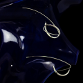 MG_2555-p-600x900.png