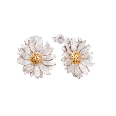 Słonecznik srebrny - EDYTA BYRSKA