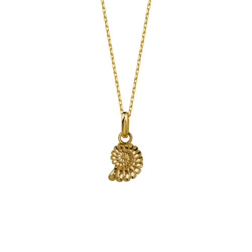 Naszyjnik-Shell-2-Gold--scaled.jpg.webp